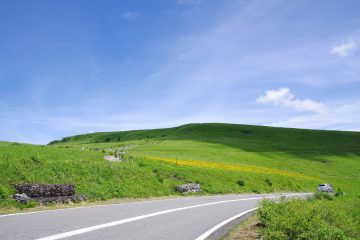 ビーナスライン