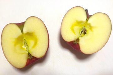 2つに割れたりんご